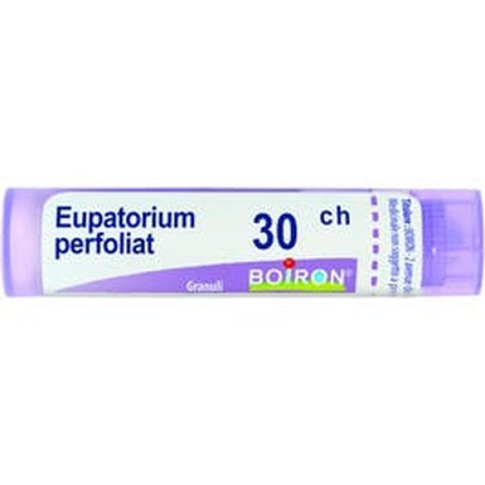 Boiron Eupatorium Perfoliatum Diluizione Omeopatica 30 Centesimale in Tubo Granuli per Sintomi Influenzali e Dolori Osteoarticolari