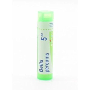 Boiron Bellis Perennis 5 CH Tubo Granuli Omeopatici per Uso Orale – Rimedio Naturale alla Margherita Pratolina