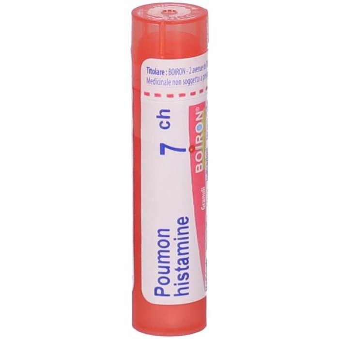 The Polmone Artificial didattico in tubo a 7 canali per istologia e laboratorio di anatomia umana