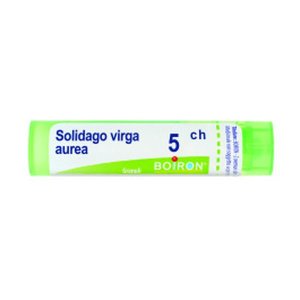 Boiron Solidago Virga Aurea 5 CH Granuli Omeopatici in Tubo – Rimedio Naturale a Base di Solidago