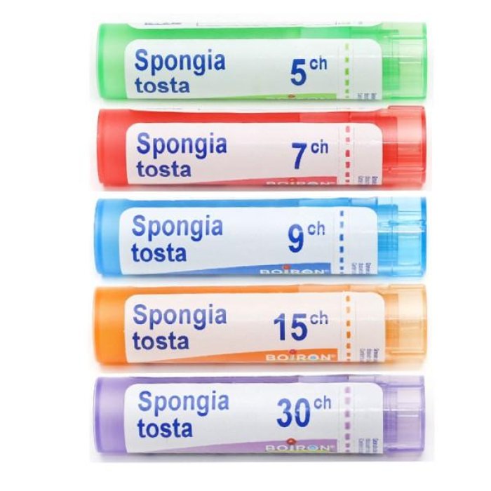Boiron Spongia Tosta 7 CH Granuli Omeopatici in Tubo