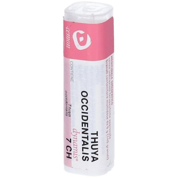 Boiron Thuya Occident 7ch Gr