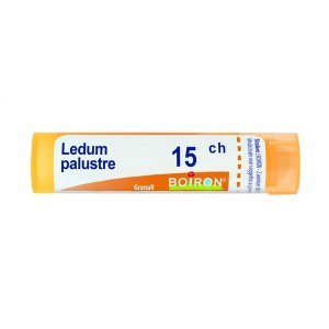Boiron Ledum Palustre 15ch Gr