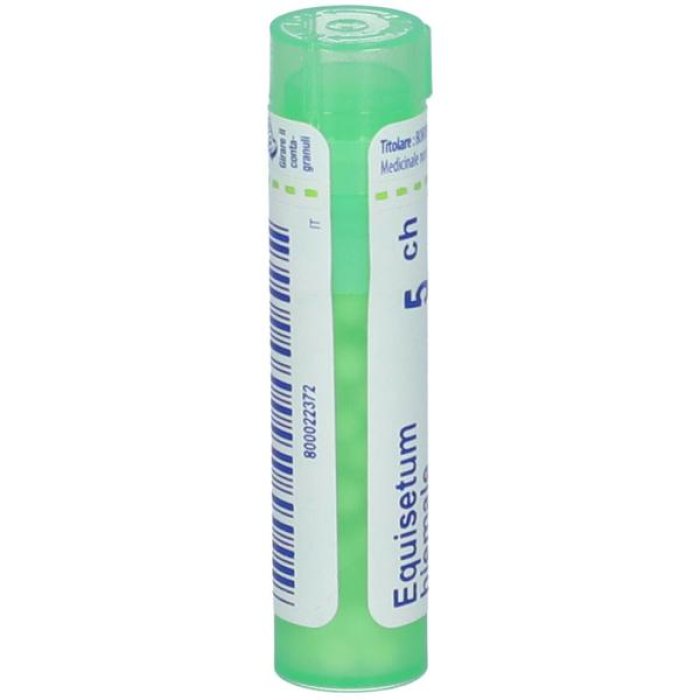 The Equisetum Hiemale rimedio omeopatico in granuli tubo, diluizione alla quinta centesimale per il benessere naturale delle vie urinarie