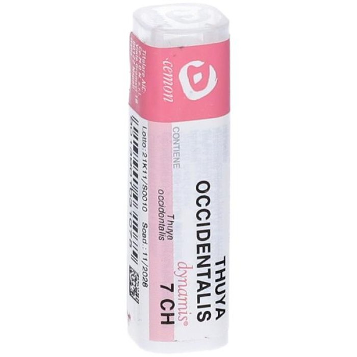 Thuya Occidentalis Granuli Omeopatici in Tubo Diluizione Sette Centesimale Marca Cme