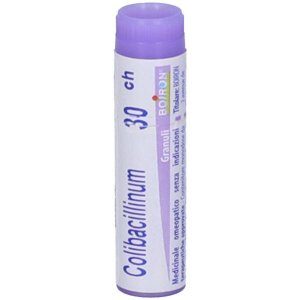 Colibacillinum globuli omeopatici diluizione 30 centesimale da sciogliere in bocca durante la giornata
