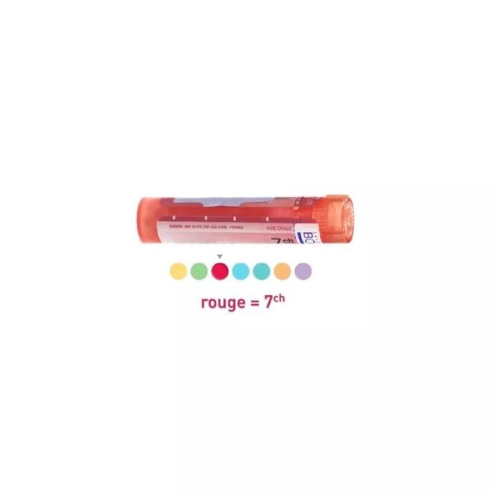 Ranunculus bulbosus 7CH granuli Boiron - rimedio omeopatico in granuli 7CH