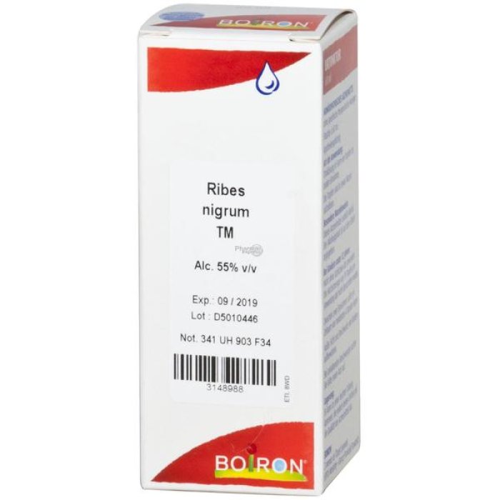 Ribes Nigrum Granuli Omeopatici in Tubo Diluizione Nove Centesimale per Benessere Naturale e Difese Immunitarie