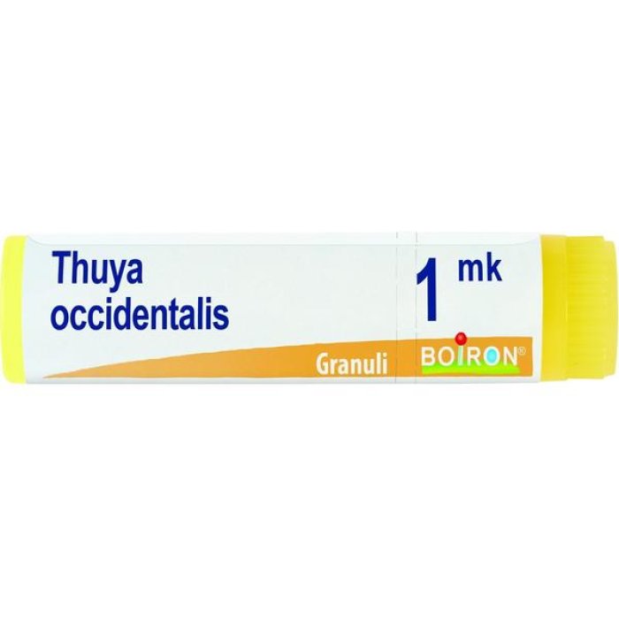 Thuya occidentalis 3LM globuli - rimedio omeopatico in globuli 3LM