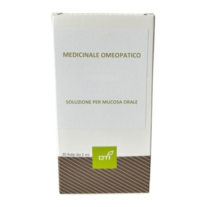 Sepia 06LM Pot 20f Pianta Ornamentale in Vaso da 20 cm per Interni ed Esterni