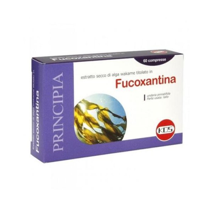 Fucodin alimentare 60 capsule Tesla - integratore a base di fuco per metabolismo e peso corporeo