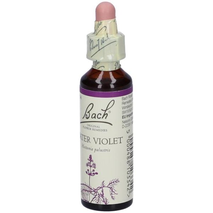 Bach Center Ess Water Violet20