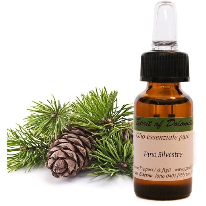 Eos Natura Olio Essenziale di Pino Silvestre 12 ml – Aroma Naturale Purificante e Balsamico