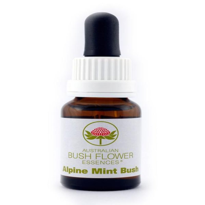 Alpine Mint Bush essenza 15 ml - essenza floreale australiana per benessere emotivo