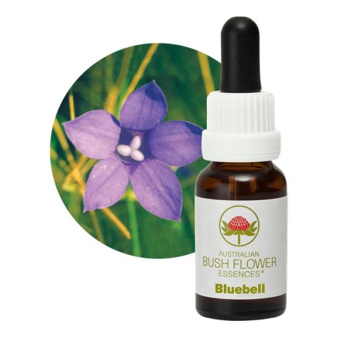 Bluebell essenza australiana in gocce - fiore australiano Bluebell in gocce orali