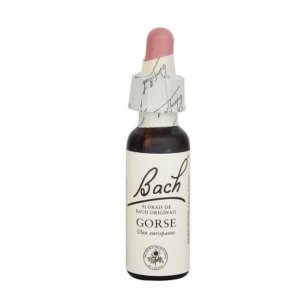 Gorse Ess 10 ml Ingl Herbs - fiore di Bach Gorse in gocce