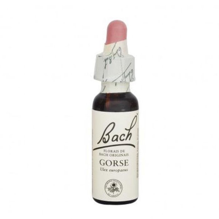 Gorse Ess 10 ml Ingl Herbs - fiore di Bach Gorse in gocce