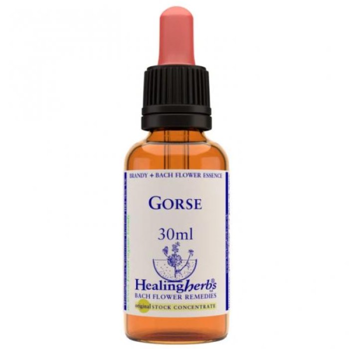 Gorse essenza 30 ml - fiore di Bach Gorse per speranza e fiducia