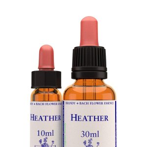 Heather essenza 10 ml English Herbs - fiore di Bach Heather per bisogno di attenzione