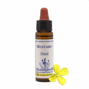 Essenza Mustard Fiori di Bach 10 millilitri rimedio naturale per l’umore idea regalo gift budget ideas benessere