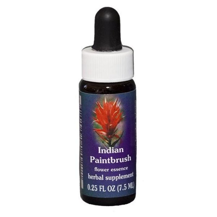 Indian Paintbrush 7,4 ml Calf - essenza floreale californiana Indian Paintbrush