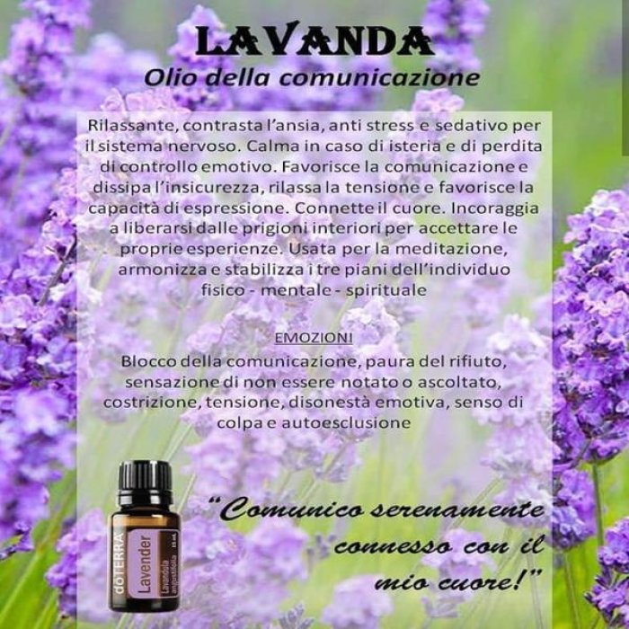 Lavender essenza 4 ml California - fiore californiano Lavender per calma e rilassamento