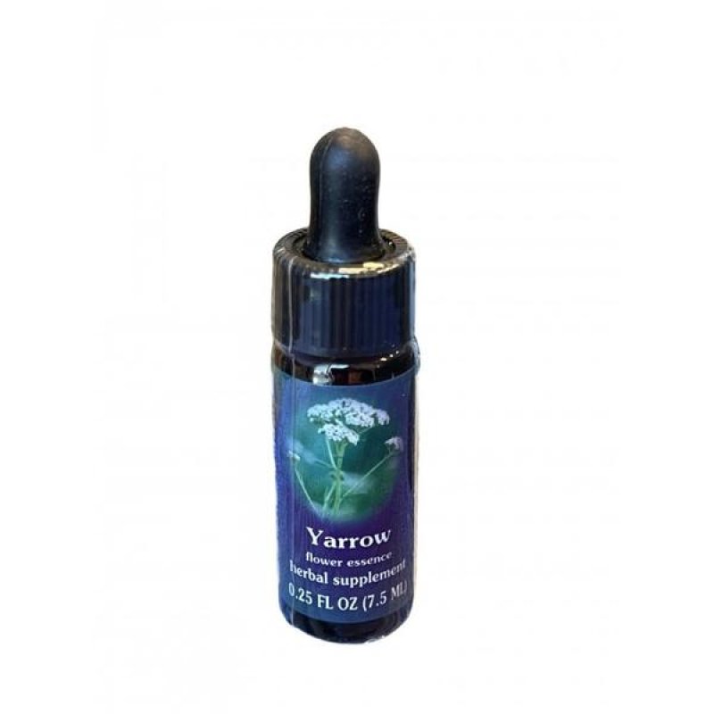 Yarrow Essenza 7,4 ml Floriterapia Californiana per Protezione Energetica e Benessere Emotivo
