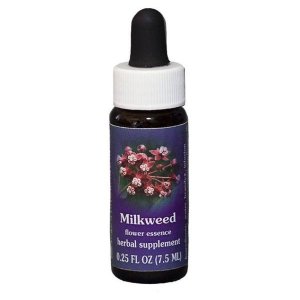 Essenza Milkweed Calf 7,4 millilitri – Fragranza Concentrata per Profumi e Cosmetici Fai da Te