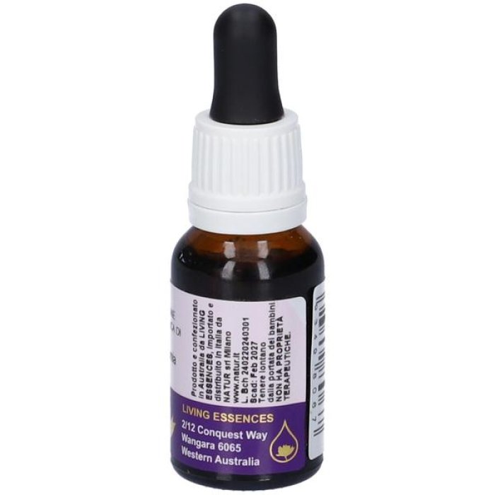 Essenza floreale Macrozamia 15 ml – rimedio naturale australiano per il benessere emotivo