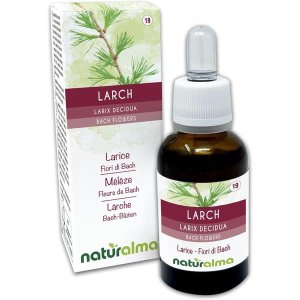 Larix Decidua 30 ml Otiflower – Essenza Floreale di Larix Decidua (Larice Europeo) per Fiducia, Autostima e Benessere Emozionale