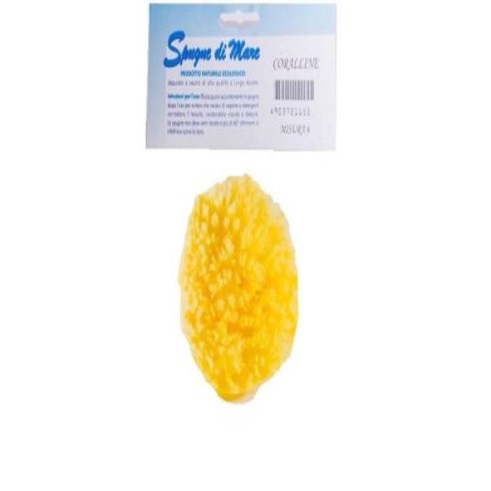 Biemmefarma Spugna Mare Naturale Corpo e Viso – Spugna Marina Morbida per Bagno e Doccia