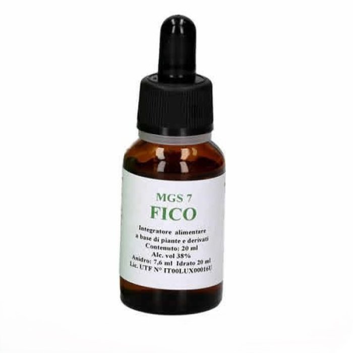 Mgs 7 Fico Gocce Orali 20 ml Integratore a Base di Ficus Carica Macerato Glicerico per il Benessere Digestivo