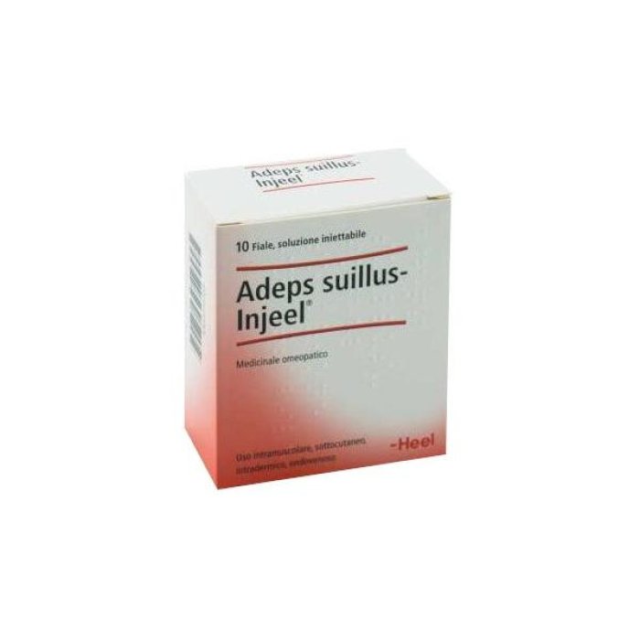 Guna Heel Adeps Suillus Injeel Medicinale Omeopatico 10 Fiale