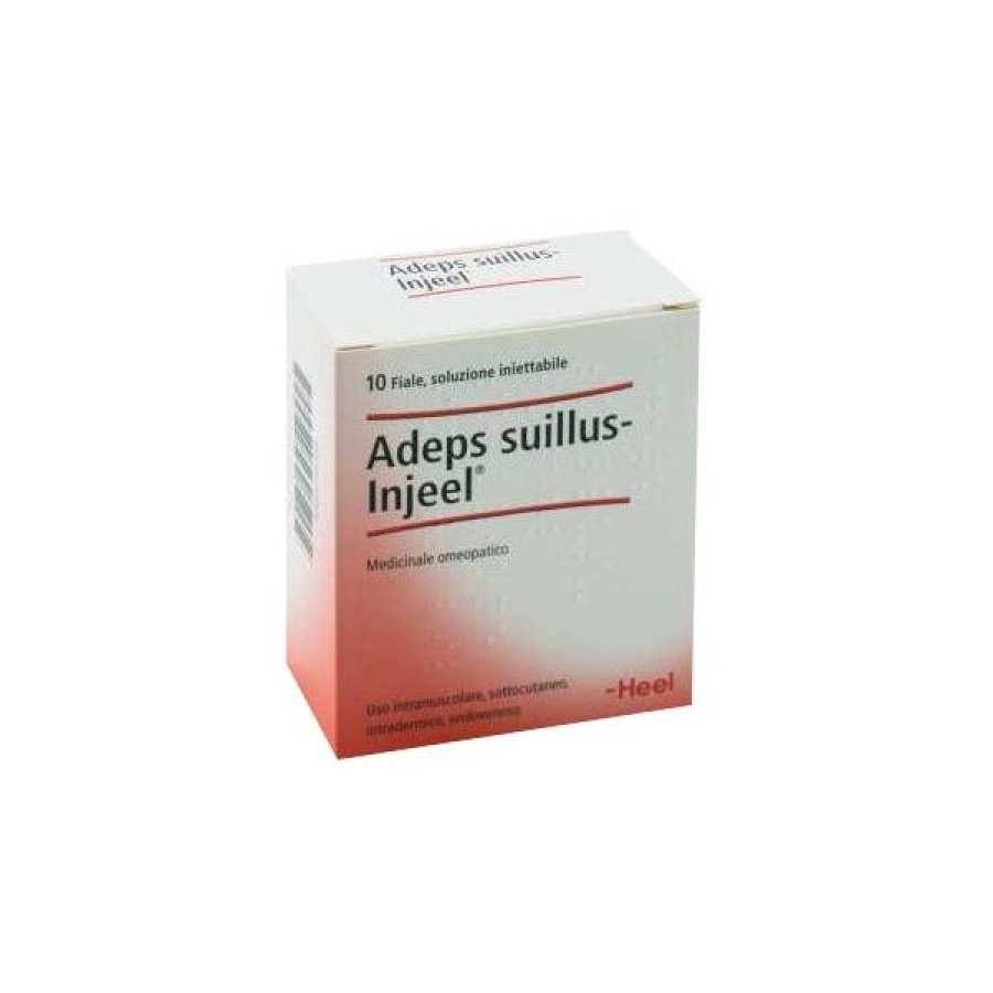Guna Heel Adeps Suillus Injeel Medicinale Omeopatico 10 Fiale