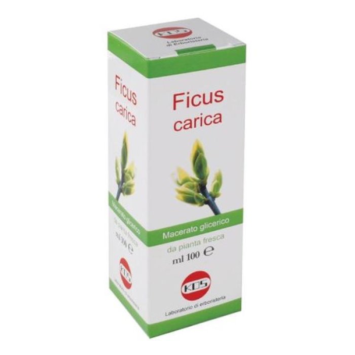 Sarandrea Fucus Gocce Orali 100 ml Integratore Naturale per Metabolismo e Controllo del Peso