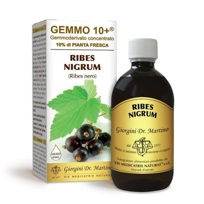 Ribes Nigrum Integratore Liquido 500 Millilitri Alta Concentrazione in Milligrammi