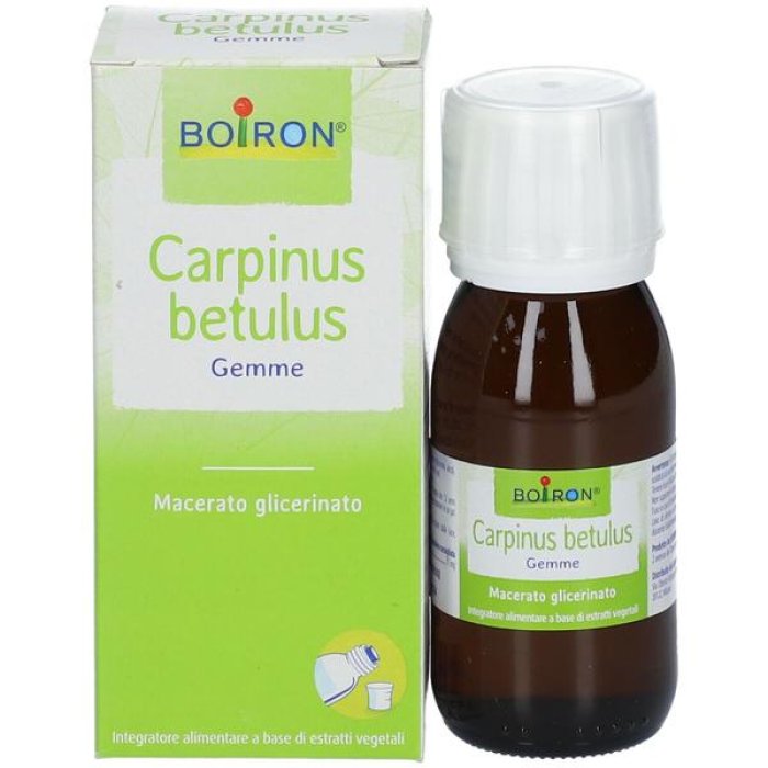 Carpinus Betulus 60 ml MG - gemmoderivato di carpino per drenaggio linfatico