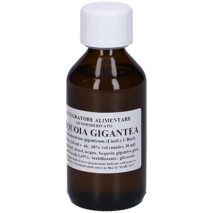 Sequoia Macerato Glicerico Sarand 100 Millilitri Estratto Gemmoderivato Naturale in Gocce