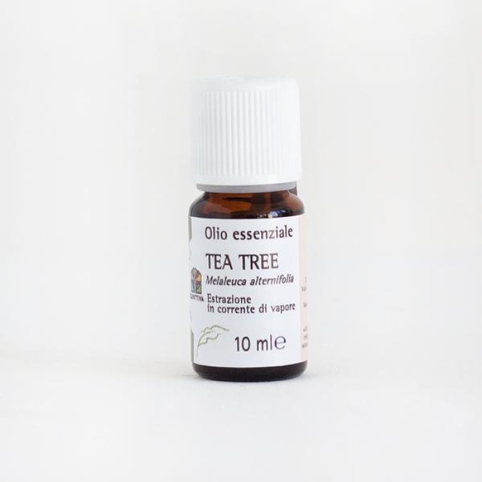 Tea Tree olio essenziale 15 ml - olio essenziale di melaleuca per uso cosmetico