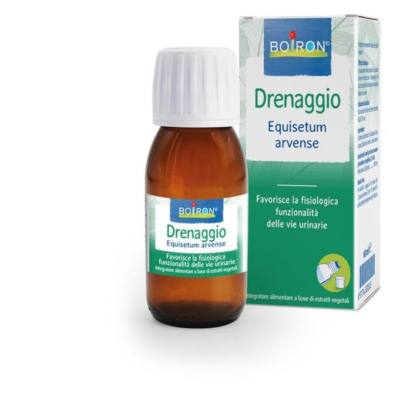 Equisetum arvense 60 ml macerato glicerico - estratto di equiseto per unghie e capelli