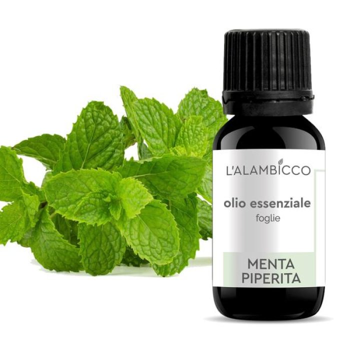 Menta olio essenziale 10 ml - olio essenziale di menta piperita per diffusori e aromaterapia