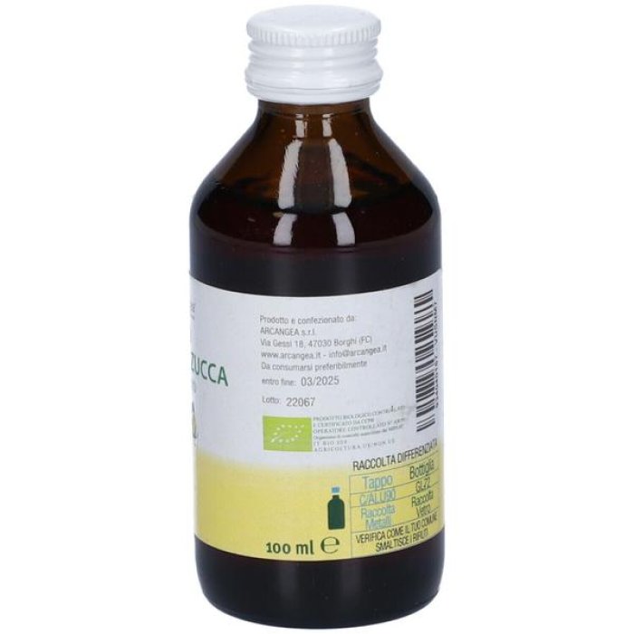 Arcangea Olio Semi Zucca Bio 100 Ml