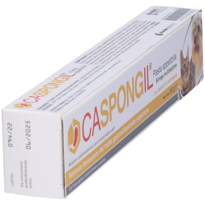 Caspongil Pasta 30 g Shedir | Pasta Dermatologica Protettiva e Lenitiva per Pelle Irritata