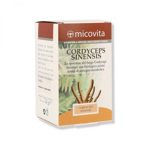 Cordyceps 60 Capsules Integratore Naturale di Cordyceps in Capsule per Energia, Resistenza e Sistema Immunitario