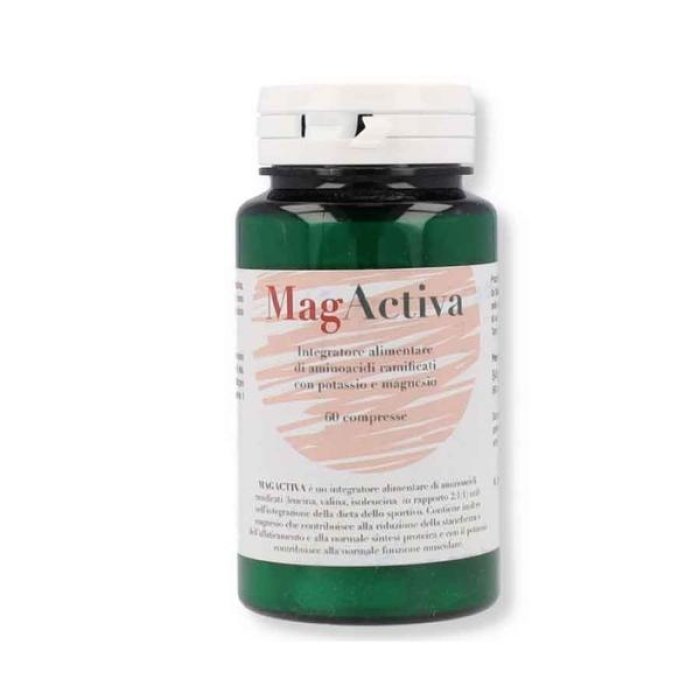 Magactiva Studio 3 integratore alimentare a base di magnesio 60 compresse