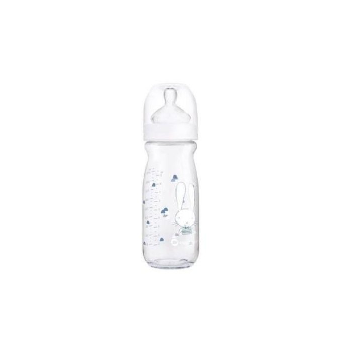 Dorel Italia Bebe C Biberon Pp 270 ml Tett L