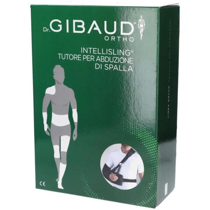 GIBAUD-ORT.Intellisling15 01
