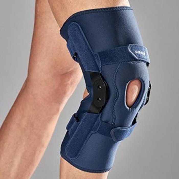 GIBAUD-ORT.Gin.Ligagib Art.2