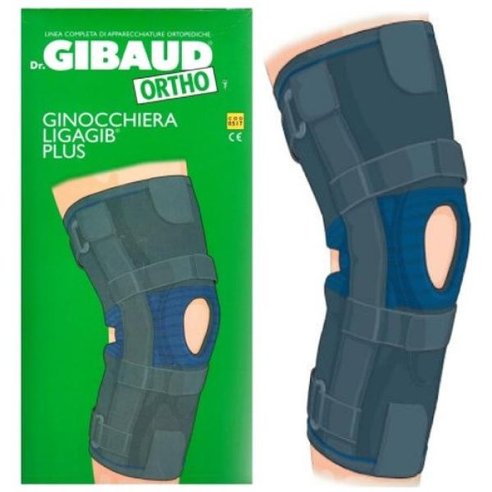 GIBAUD-ORT.Gin.Ligagib Art.3