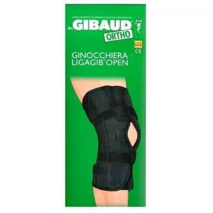 GIBAUD-ORT.Gin.Ligagib Art.5